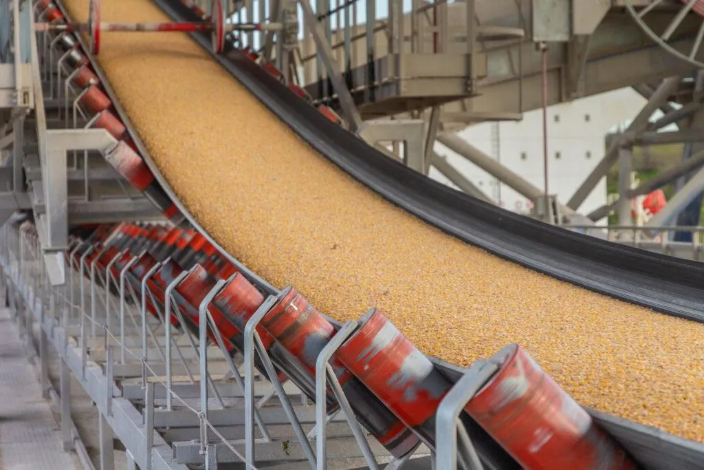 Grain Elevators & Conveyors