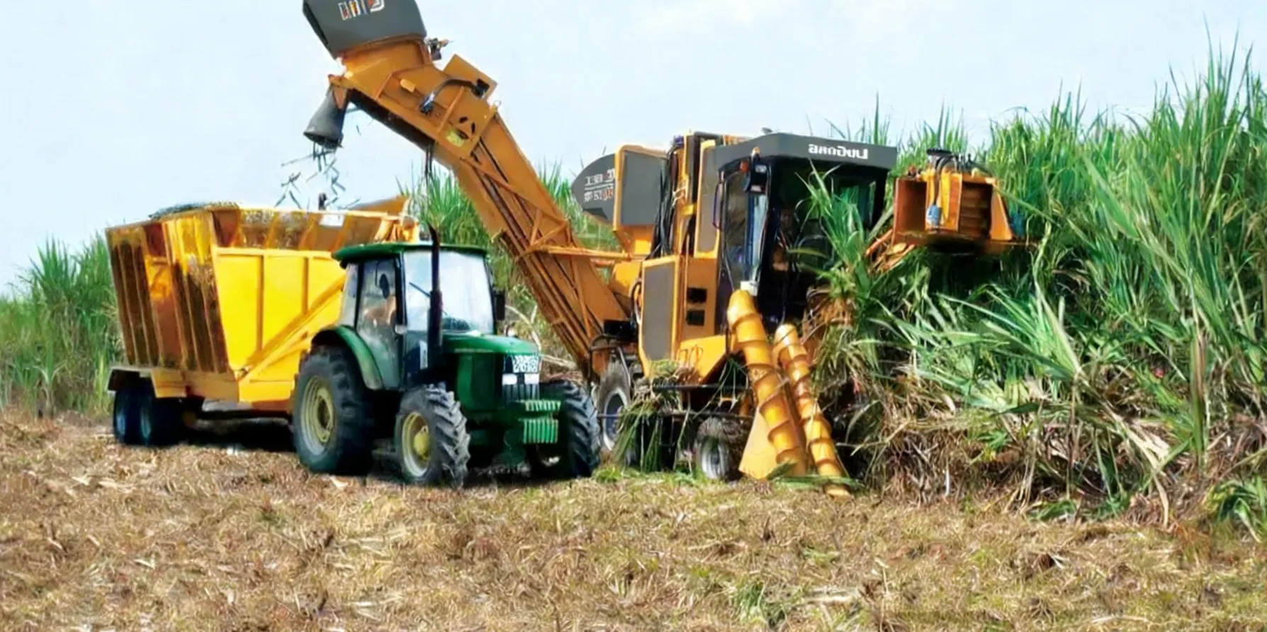 Sugarcane machine